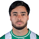 帕拉韦西诺